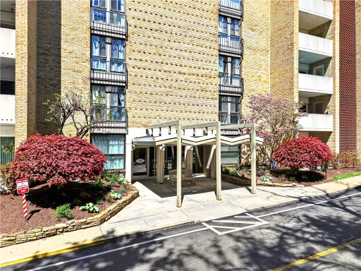 Media Image 2
