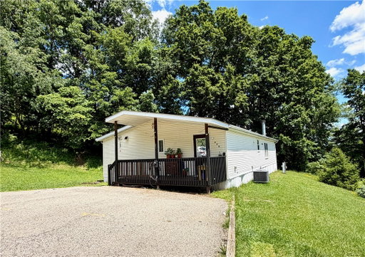 Media Image 2