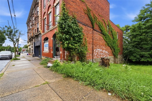 Media Image 3