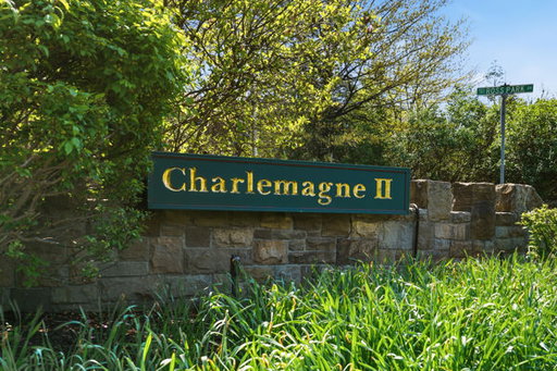 Media Image 2