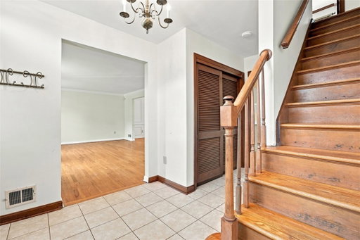 Media Image 3