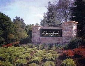 Media Image 1