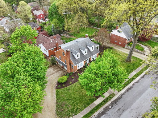 Media Image 3