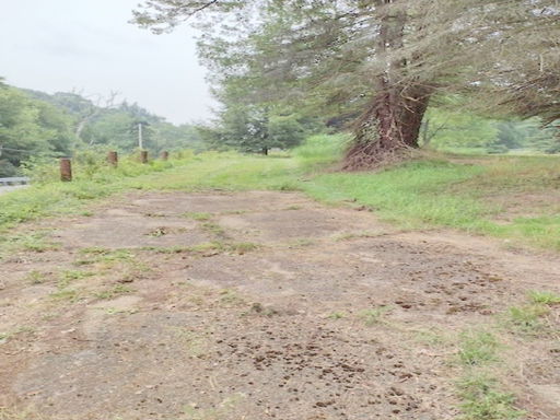 Media Image 3