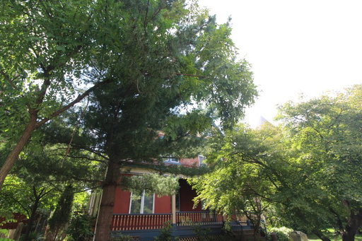 listing main photo