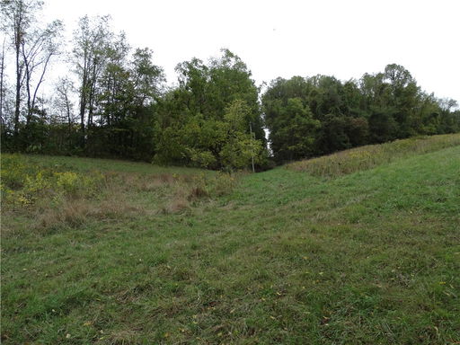 Media Image 3