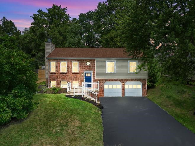Media Image 1