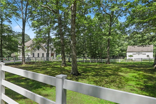 Media Image 3