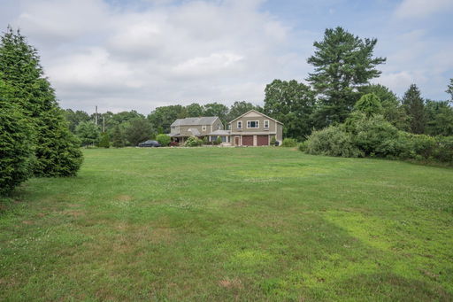 Media Image 3