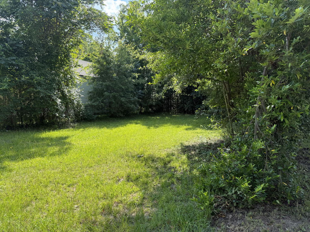 Image Unavailable