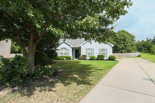Media Image 2