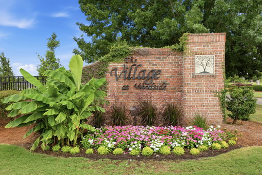 Media Image 3