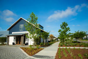 Media Image 2