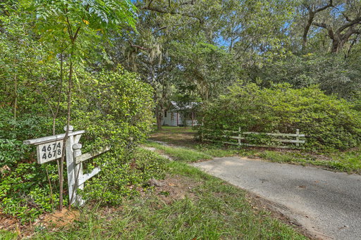 Media Image 3