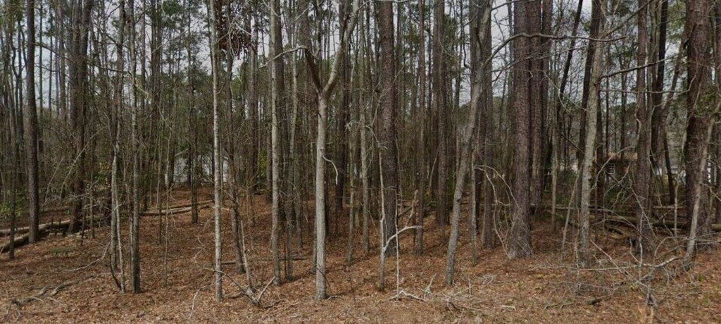 Image Unavailable