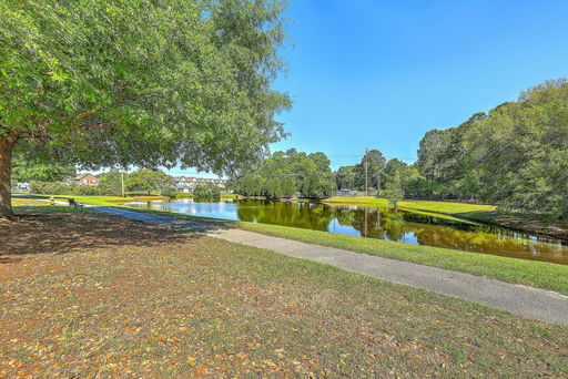 Media Image 2