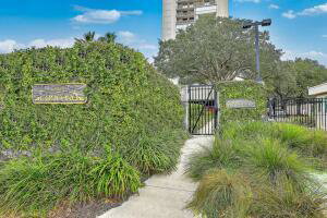 Media Image 2