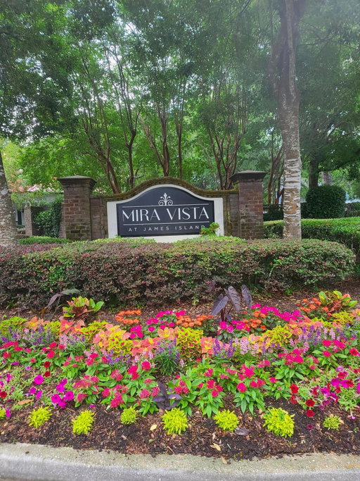 Media Image 2