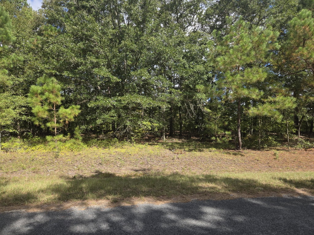 Image Unavailable
