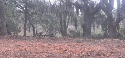Media Image 3