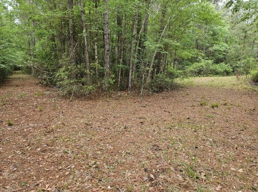 Media Image 3