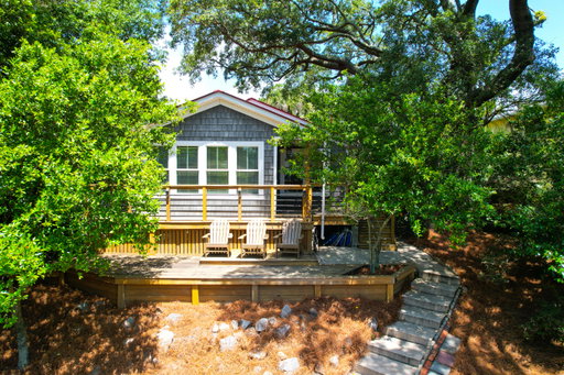 Media Image 3