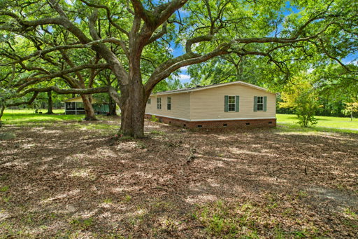 Media Image 3