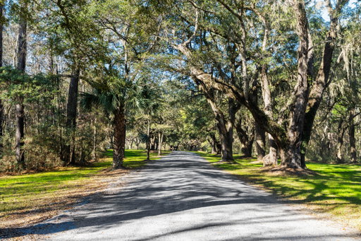 Media Image 3