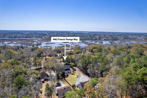Media Image 2