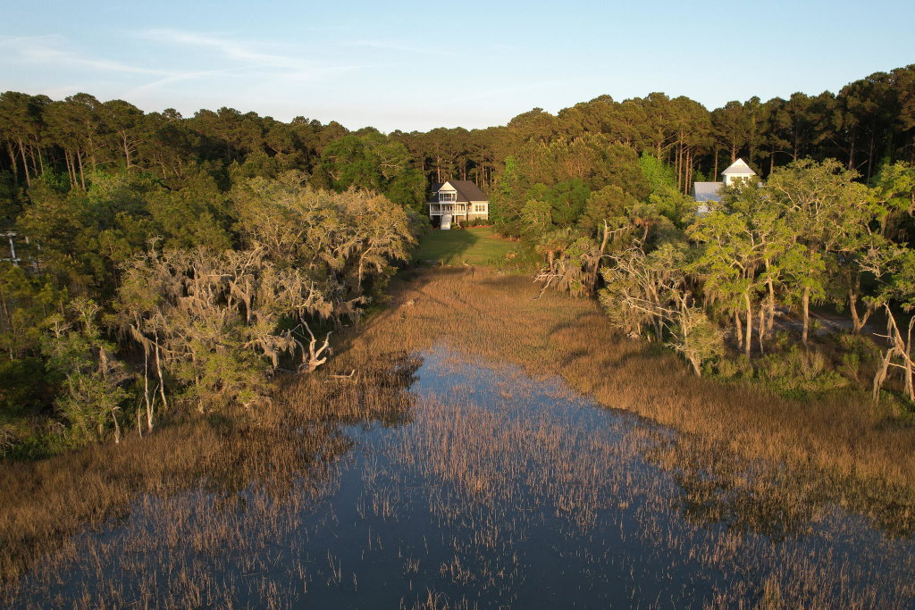 Media Image 1