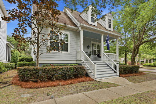 Media Image 3