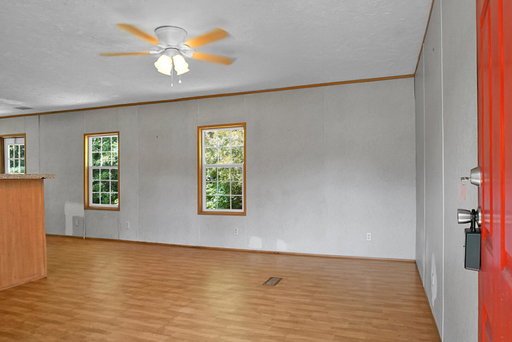Media Image 3