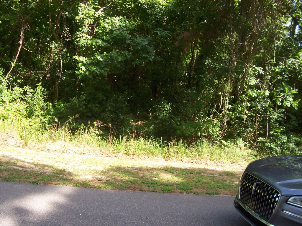 Image Unavailable