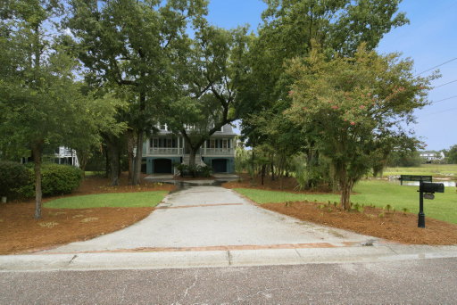 Media Image 3