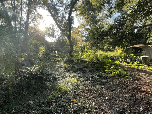 Media Image 2