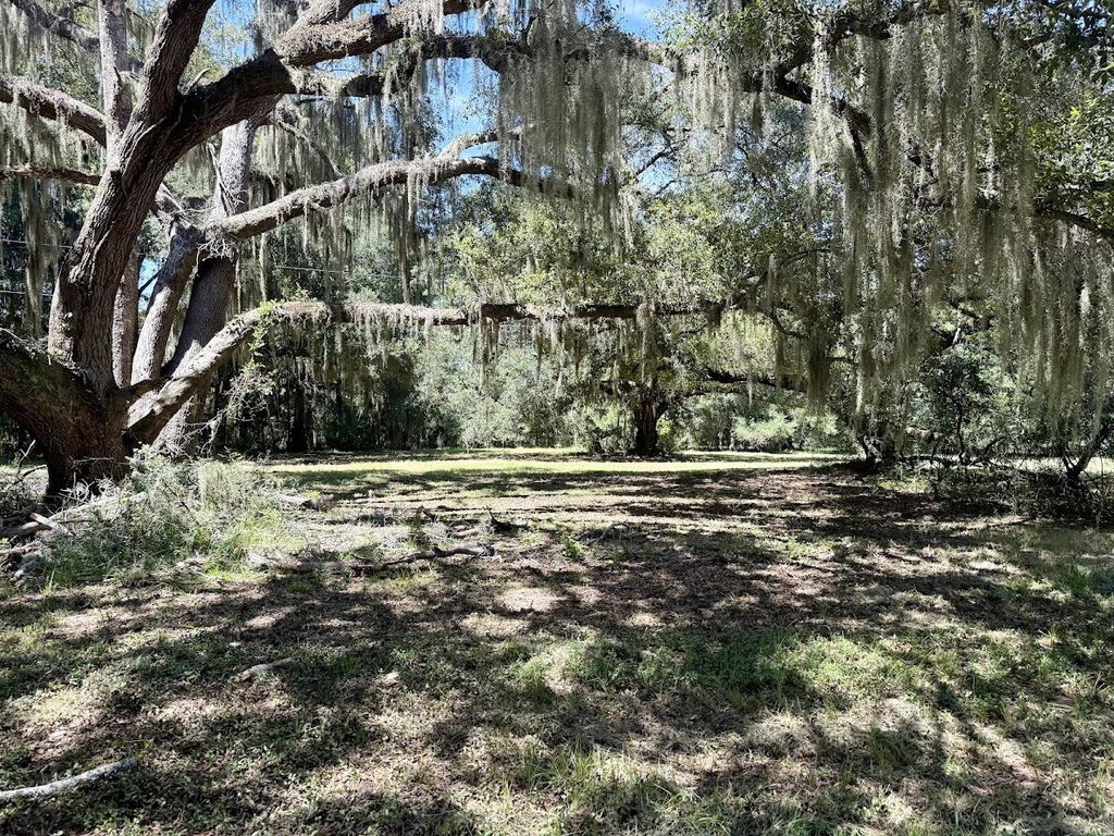 Image Unavailable