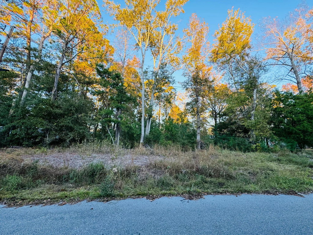 Image Unavailable