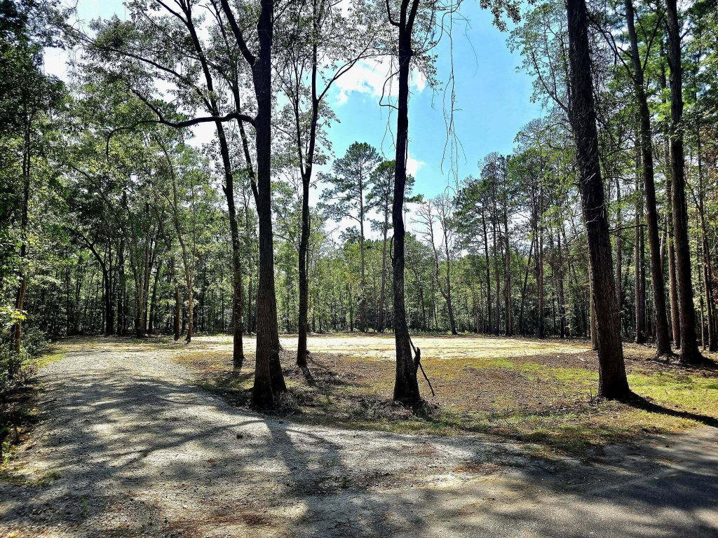 Image Unavailable