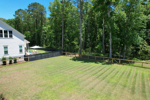Media Image 2