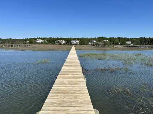 Media Image 2