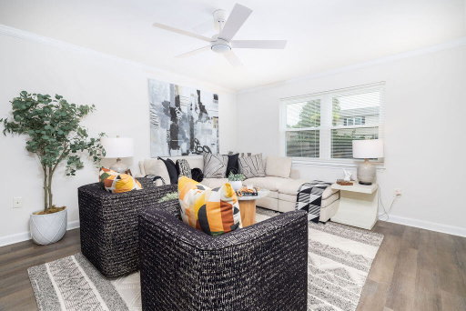 Media Image 2