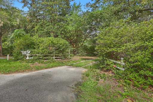 Media Image 2