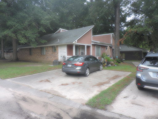 Media Image 2