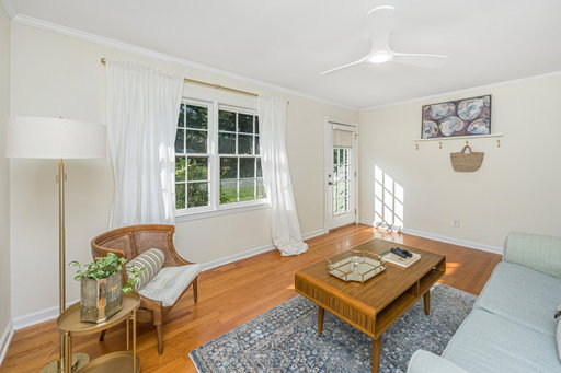 Media Image 3