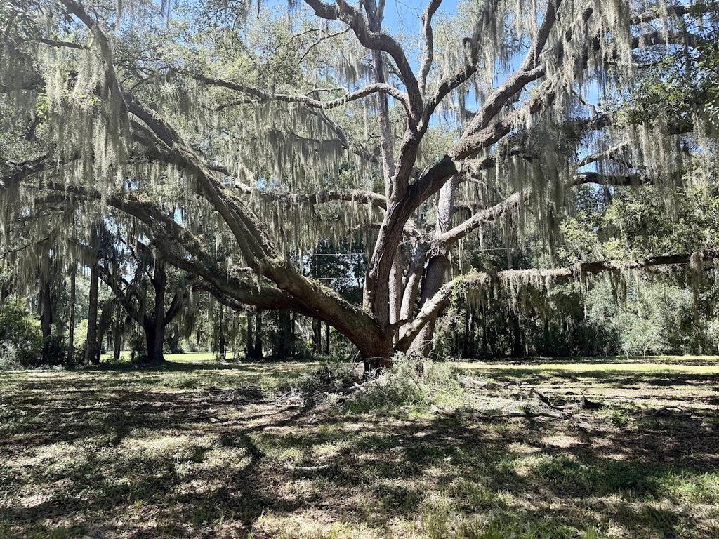 Image Unavailable