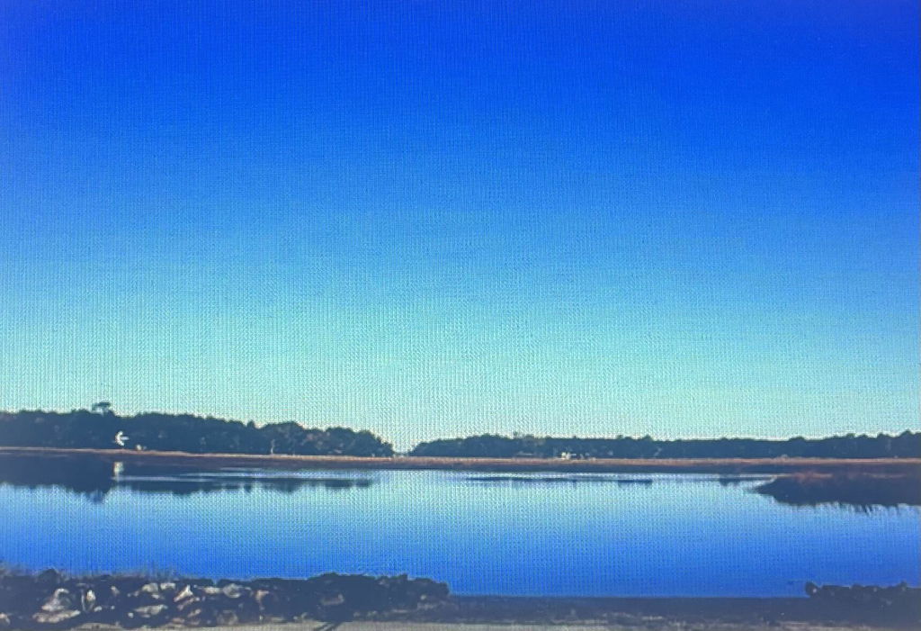 Image Unavailable