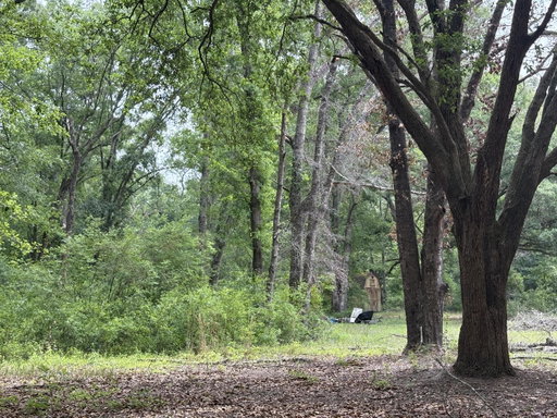 Media Image 2