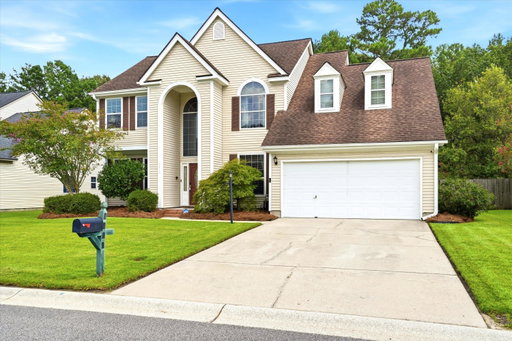 Media Image 3