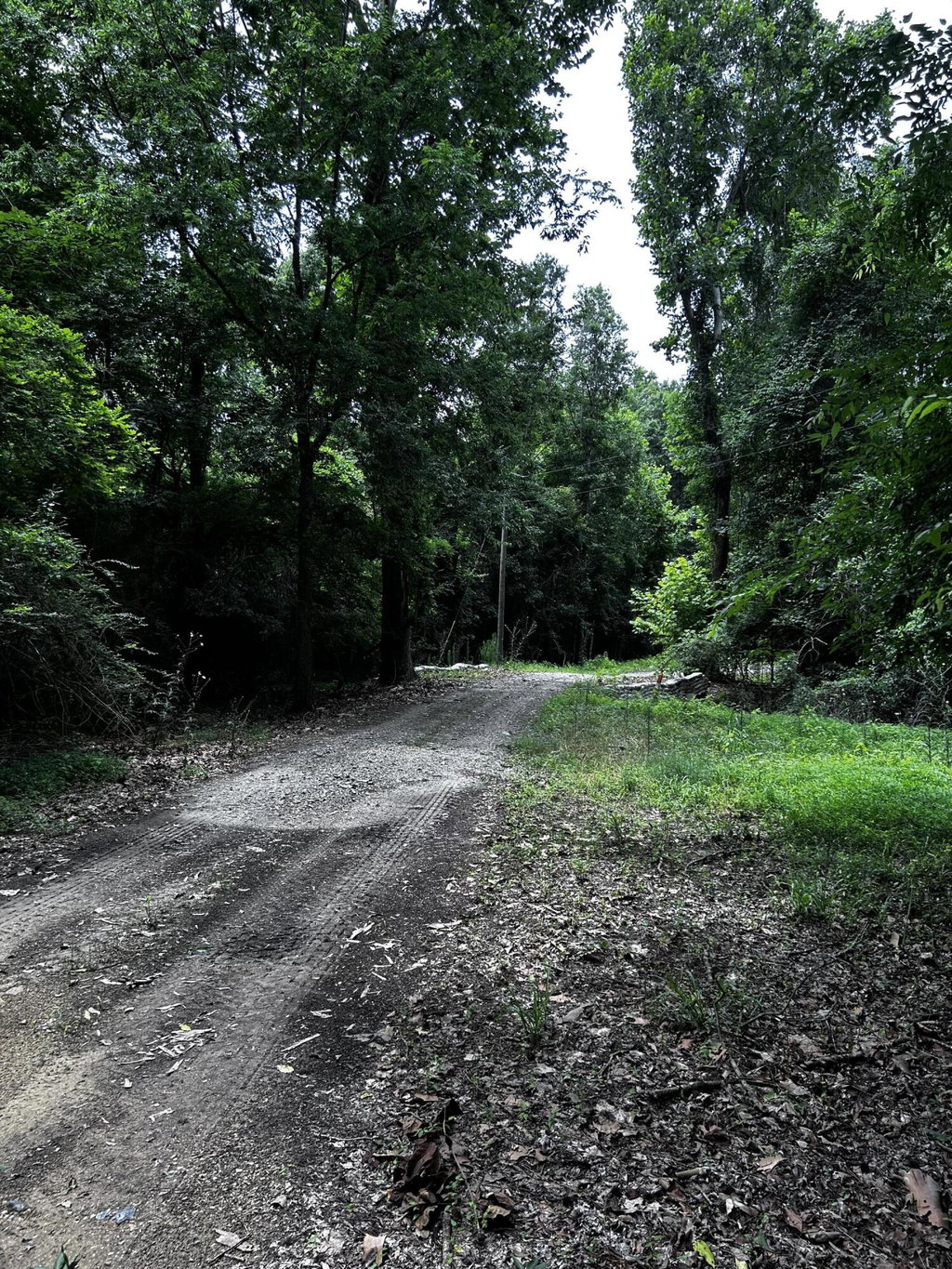 Media Image 1