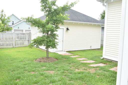 Media Image 3